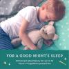 imageAmazon Brand  Mama Bear Boys Nighttime Bedwetting Underwear for Overnight Protection Hypoallergenic Size LXL 60125 lbs 38 Count WhiteBoys