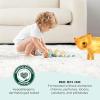 imageAmazon Brand  Mama Bear Gentle Touch Diapers Size 1 196 Count 4 packs of 49Size 1 196 Count