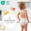 imageAmazon Brand  Mama Bear Gentle Touch Diapers Size 1 196 Count 4 packs of 49Size 1 196 Count