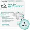 imageAmazon Brand  Mama Bear Gentle Touch Diapers Size 1 196 Count 4 packs of 49Size 1 196 Count