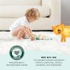 imageAmazon Brand  Mama Bear Gentle Touch Diapers Size 1 196 Count 4 packs of 49Size 1 49 Count