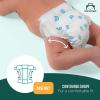imageAmazon Brand  Mama Bear Gentle Touch Diapers Size 1 196 Count 4 packs of 49Size 2 184 Count