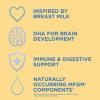 imageAmazon Brand  Mama Bear Infant MilkBased Baby Formula Powder with Iron 2FL HMO Omega3 DHA and Choline Brain Growth Immunity NonGMO 139 pound Pack of 13392 Ounce Pack of 1