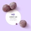 imageAmazon Brand  Mama Bear Vegetarian Kids Black Elderberry Gummies 300 mg with Vitamins C D E and Zinc  Immune System Support  60 Gummies 1 to 2 Month Supply NonGMO Gluten Free60 Count Pack of 1